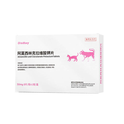 阿莫西林克拉维酸钾猫咪狗阿莫西林克拉维酸钾宠物专用消炎药感冒