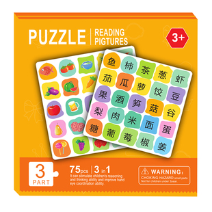 儿童磁吸识字拼图幼儿早教磁力宝宝学前专注力3到6岁磁性益智玩具