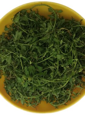 纯天然鹅不食草现挖现发