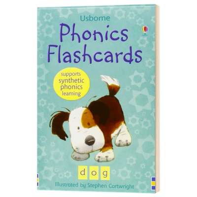 Phonics flashcards 英文原版 自然发音拼读卡48张 进口英语单词学习卡片 英文启蒙高效闪卡 英文版儿童图书