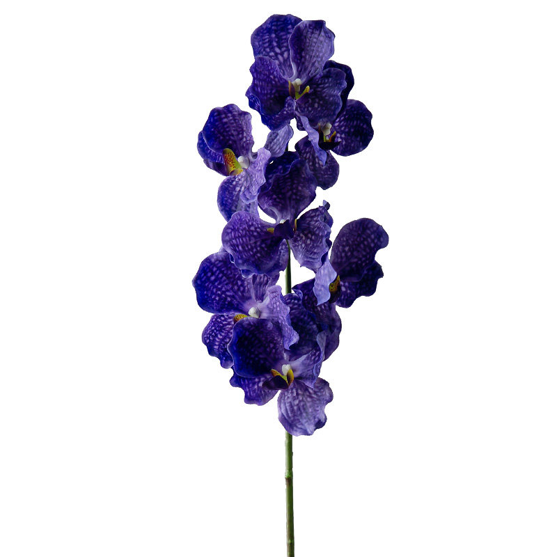 大花万代兰暗黑系小众仿真花手感保湿软胶高档样板间装饰干花假花