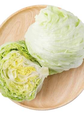 槿馐球生菜10斤装汉堡生菜