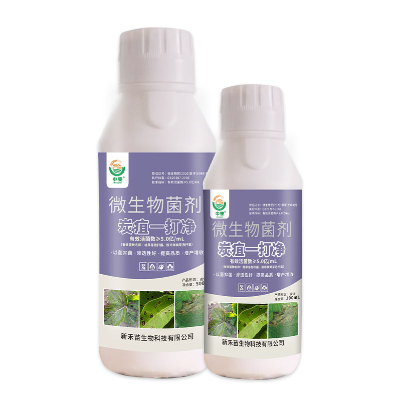 炭疽病杀菌菌剂柑橘番茄黄瓜葡萄苹果西瓜辣椒草莓炭疽病通用药