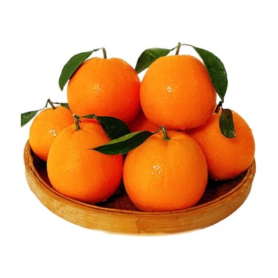 赣南脐橙新鲜现摘现发甜橙子