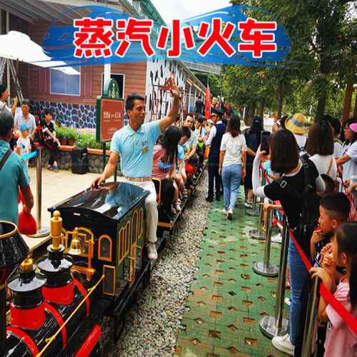 户外迷你小火车稻田网红观光轨道火车无动力游乐设备农文旅科普馆