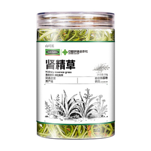 肾精草茶黄金草嗷嗷叫长白山肾精草中草药材野外生正品官方旗舰店