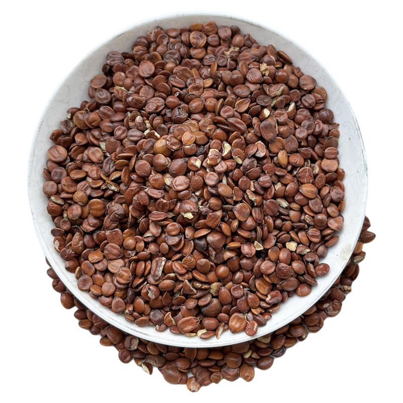 酸枣仁睡眠茶野生枣仁滋补药材