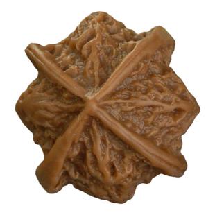 孔明糖艺盐雕模具创意盘式翻糖蛋糕3D立体巧克力铂金级硅胶核桃模