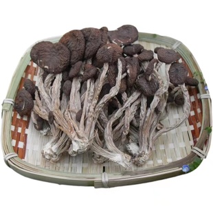 江西广昌农家自产茶树菇新货未开伞250g包邮干度好自种天然茶树菇