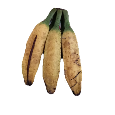 香蕉广东新鲜水果大芭蕉高州孕妇