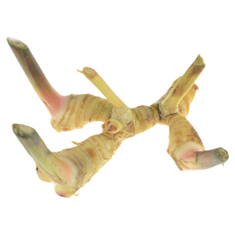 白皮南姜越南泰国菜冬阴功食材