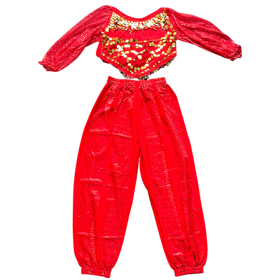 印度舞蹈服成人金币垂感强天竺舞