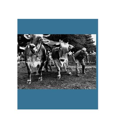 【预售】李·弗里德兰德：工作中的人-人类陶土英文摄影集摄影师专辑精装进口原版书Lee Friedlander: Workers-The Human Cla