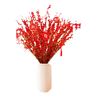 银柳真花鲜枝干花摆件室内客厅鲜花绿植新年年宵花卉植物过年春节
