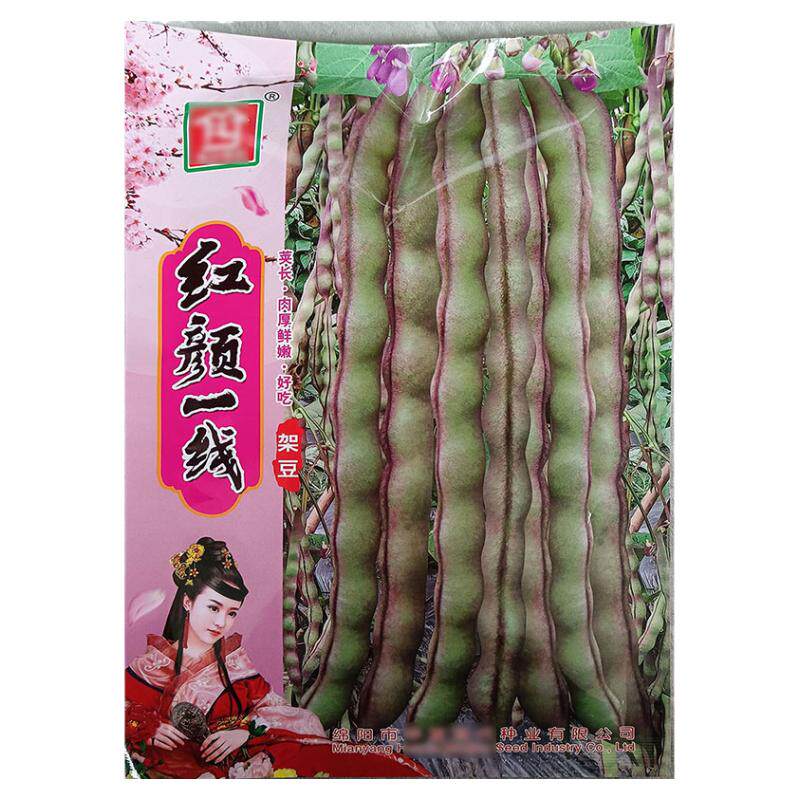 红颜一线紫色无筋蔬菜种子孑籽