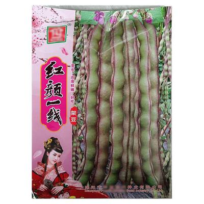 红颜一线紫色无筋蔬菜种子孑籽