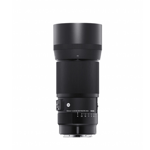 Sigma适马105mm F2.8 DG DN 全幅大光圈定焦1:1微距镜头昆虫/珠宝