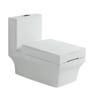 两用蹲改坐蹲坐诗华陶瓷