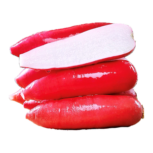 小五樱水萝卜种子孑蔬菜种籽水果萝卜菜种清脆爽口红萝卜家庭阳台