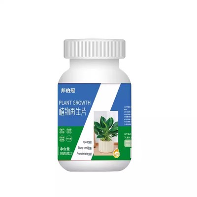植物再生片绿植通用家庭园艺