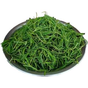 【顺丰包邮】黄须菜新鲜山东盐碱蓬菜当季野菜饺子馅黄西菜黄茎菜