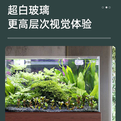 闽江水草缸鱼缸超白玻璃客厅小型生态造景原生溪流底滤下过滤兰寿