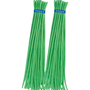 豆角种籽大全东北无架豆角种子四季豆白不老秋豇豆眉豆芸豆蔬菜孑