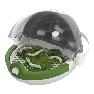 科学罐头蚕宝宝养殖太空舱儿童昆虫观察盒实验玩具生日新年礼物