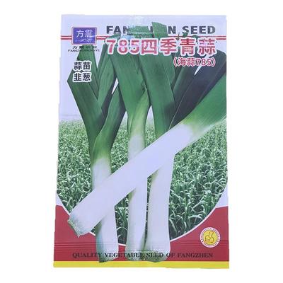 蔬菜种子大全四季播种香菜葱白菜