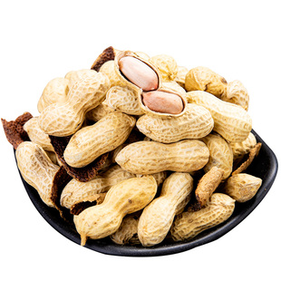 赢牌老牌正宗新会陈皮花生500g广东江门特产香脆花生带壳坚果零食