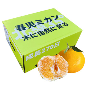 白富美春见耙耙柑7斤礼盒装日本静冈种源新鲜水果柑橘桔子丑柑甜