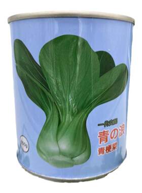 速生青梗菜奶油菜空间穿越白梗菜