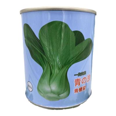 速生青梗菜奶油菜空间穿越白梗菜