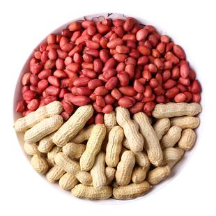 2025农家红皮花生米带壳新花生四粒红花生种子小粒花生仁