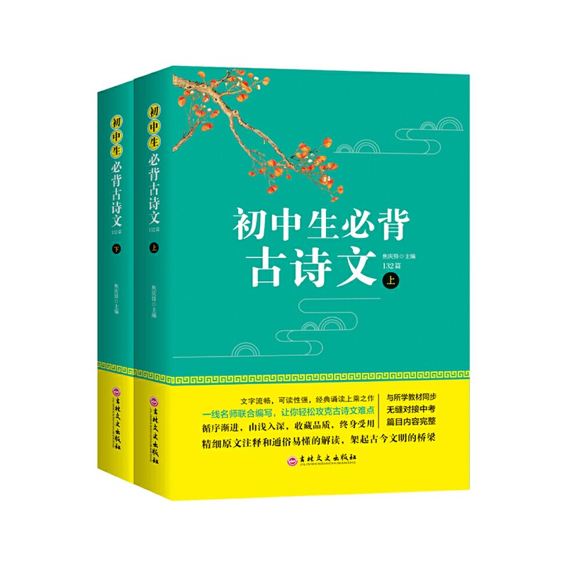 初中生古诗文 初一初二初三常用三年古诗词文言文语文篇目 初中七八九年级译注鉴赏赏析注释阅读完全解读