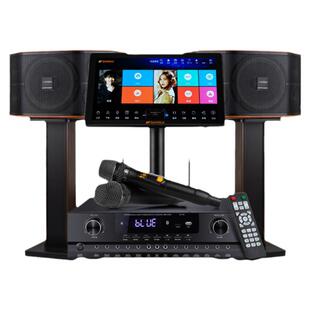 山水FK101家庭ktv家用K歌影院卡拉OK点歌一体机音响唱歌套装音箱