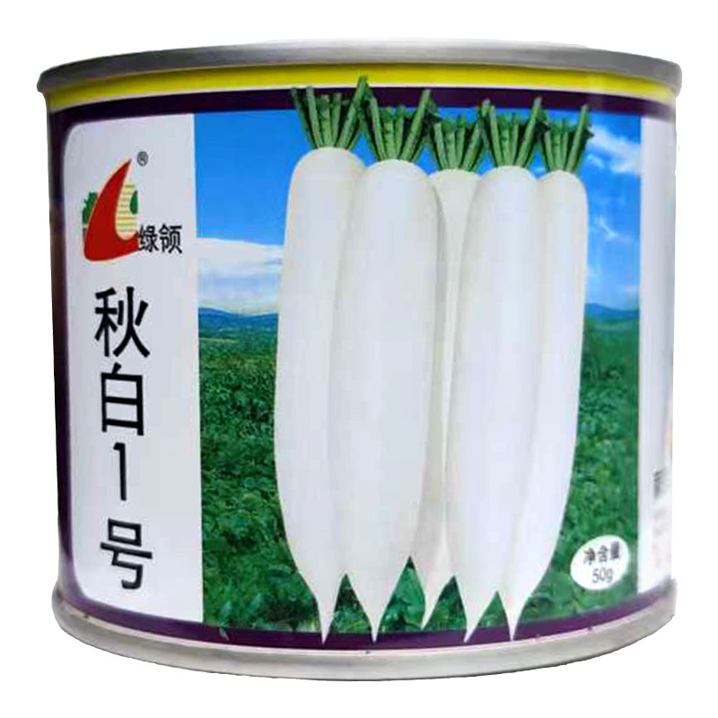 蔬菜孑罗卜种子50克绿领白萝卜籽