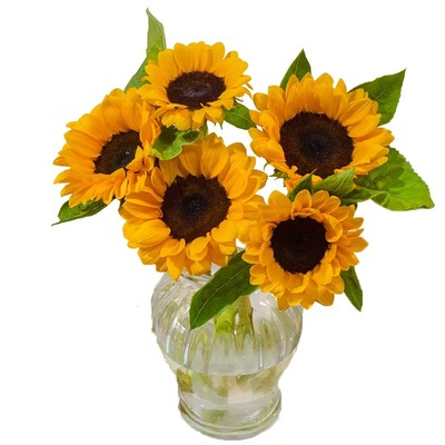 云南向日葵水养鲜花情人节