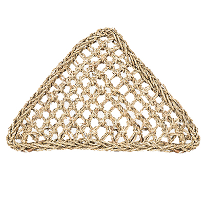 新派宠物reptizoo吊床变色龙睫角