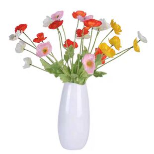 冰岛虞美人花种籽子冬季耐寒四季播种开花易活花籽虞美人种子室外