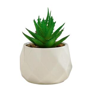 办公室桌面仿真多肉绿植室内盆栽工位小摆件ins仿生植物假花盆景