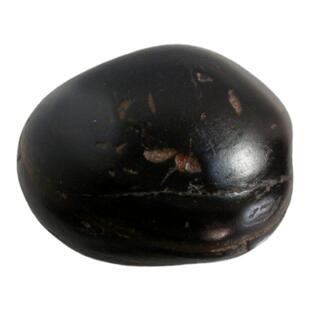 崂山试金湾纯天然试金石墨玉316克典当行专用试金打金工具19-1