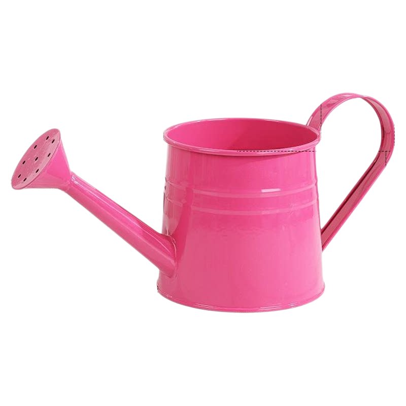加厚铁艺洒水壶插花醒花桶水培器