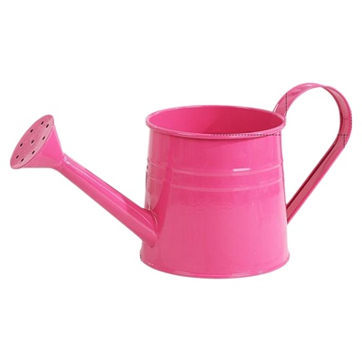 加厚铁艺洒水壶插花醒花桶水培器
