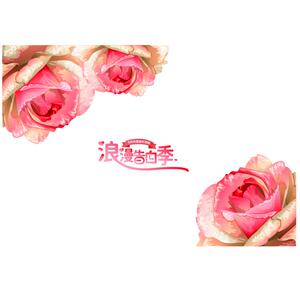 夏春季静电贴纸服装珠宝店商铺