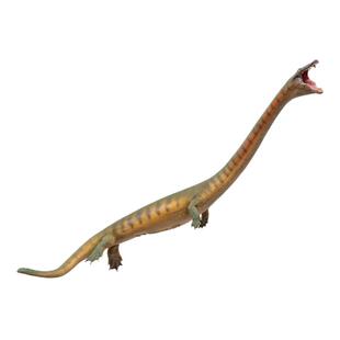 PNSO恐头龙小冲恐龙大王成长陪伴模型91