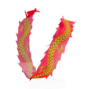 舞龙彩带健身运动成人中老年人耍龙新款龙带甩龙头道具6米8米布龙