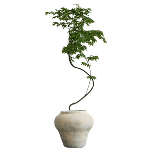 中古法式侘寂风落地陶土花瓶高级感大口陶罐花盆大号民宿装饰摆件