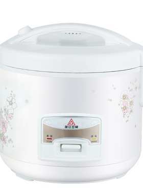 正半球智能电饭煲家用厨房电器