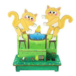 学霸玩具科学实验套装学生吃不到鱼的猫科技创新大赛作品物理实验